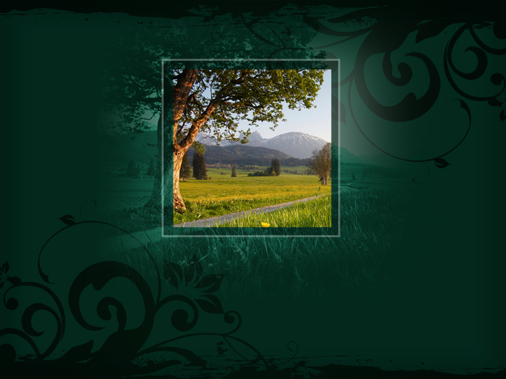 Prevailing Prayer Ministry127